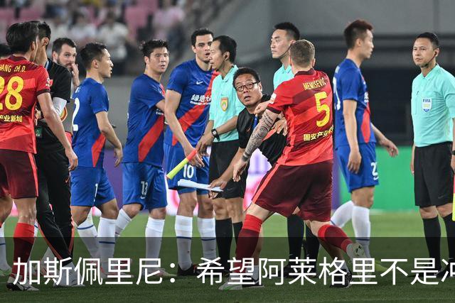 加斯佩里尼：希望阿莱格里不是冲我生气，把他罚下的可不是我