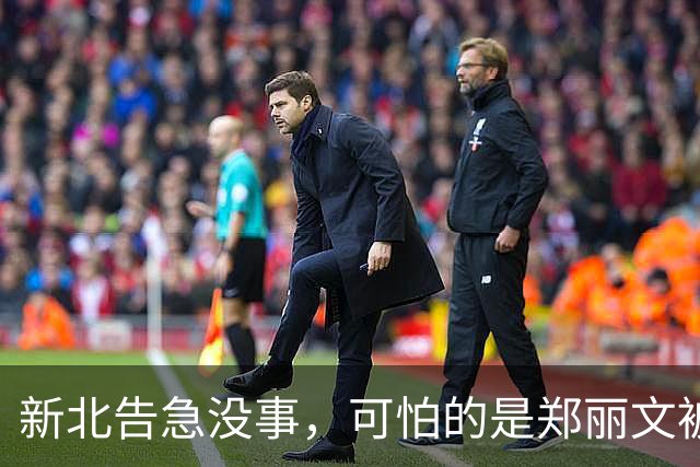 新北告急没事，可怕的是郑丽文被内鬼逼到赌最后一把：输了或退位