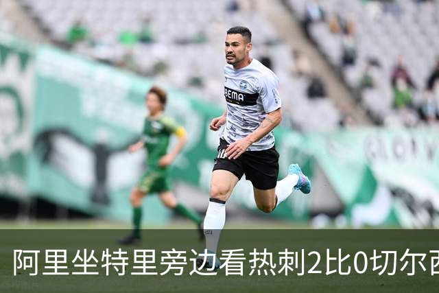 阿里坐特里旁边看热刺2比0切尔西，赛后发空座位调侃